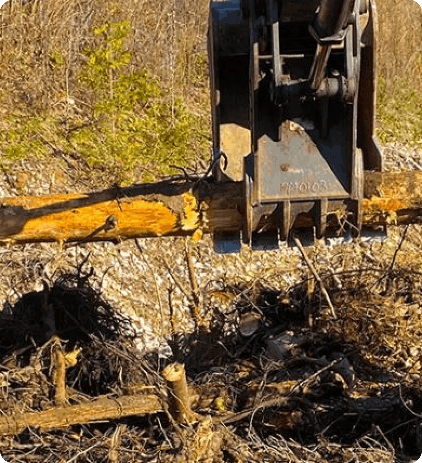 jpeg-optimizer_image 11